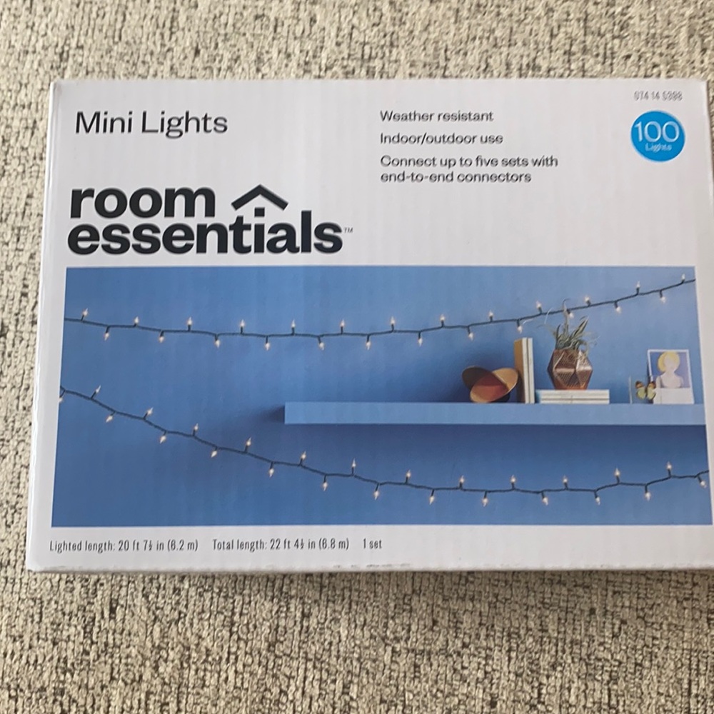Mini Lights - 20ft